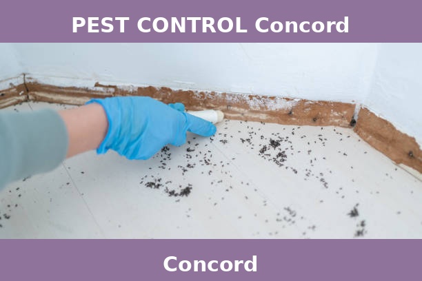PEST CONTROL Concord